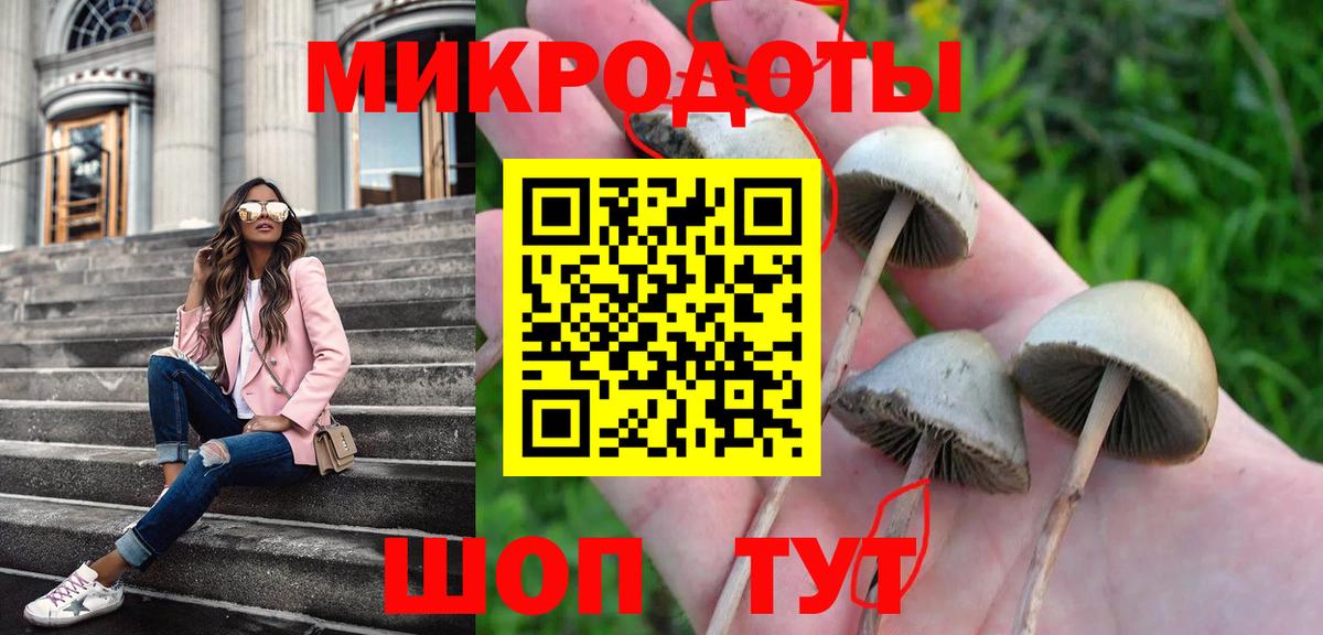 Галлюциногенные грибы Cubensis Приморско-Ахтарск