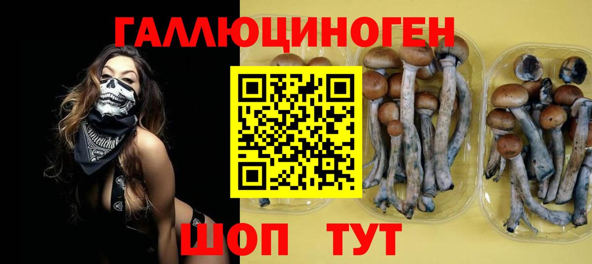 Приморско-Ахтарск  Псилоцибиновые грибы прущие грибы  Вход с VPN 